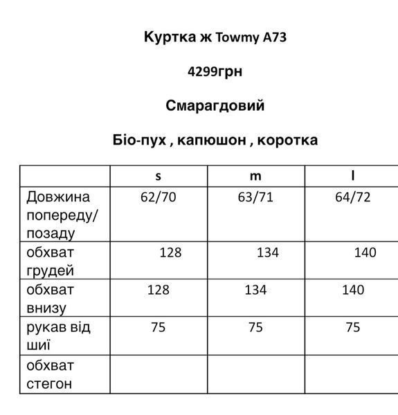 Куртка жіночі TOWMY A73, S A73 фото